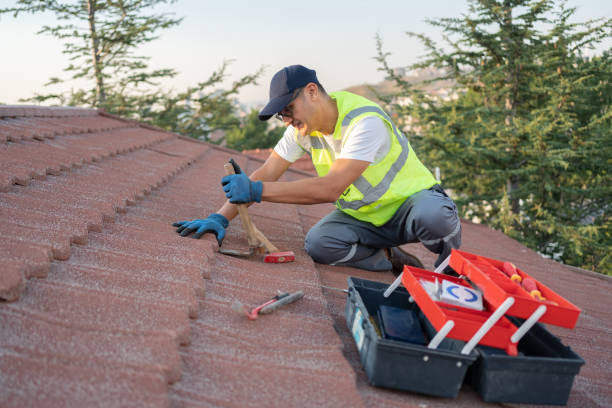Best Metal Roofing Contractor  in Hazel Dell, WA