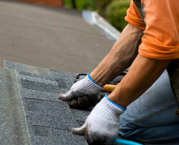 Best Roof Maintenance Services  in Hazel Dell, WA