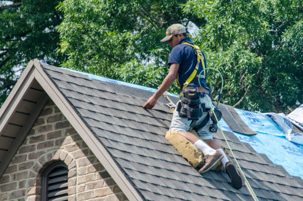 Best Emergency Roof Repair  in Hazel Dell, WA